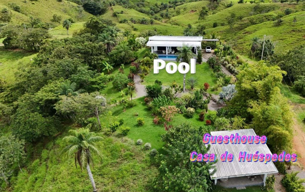 Finca Colibri Бока-Чика Экстерьер фото