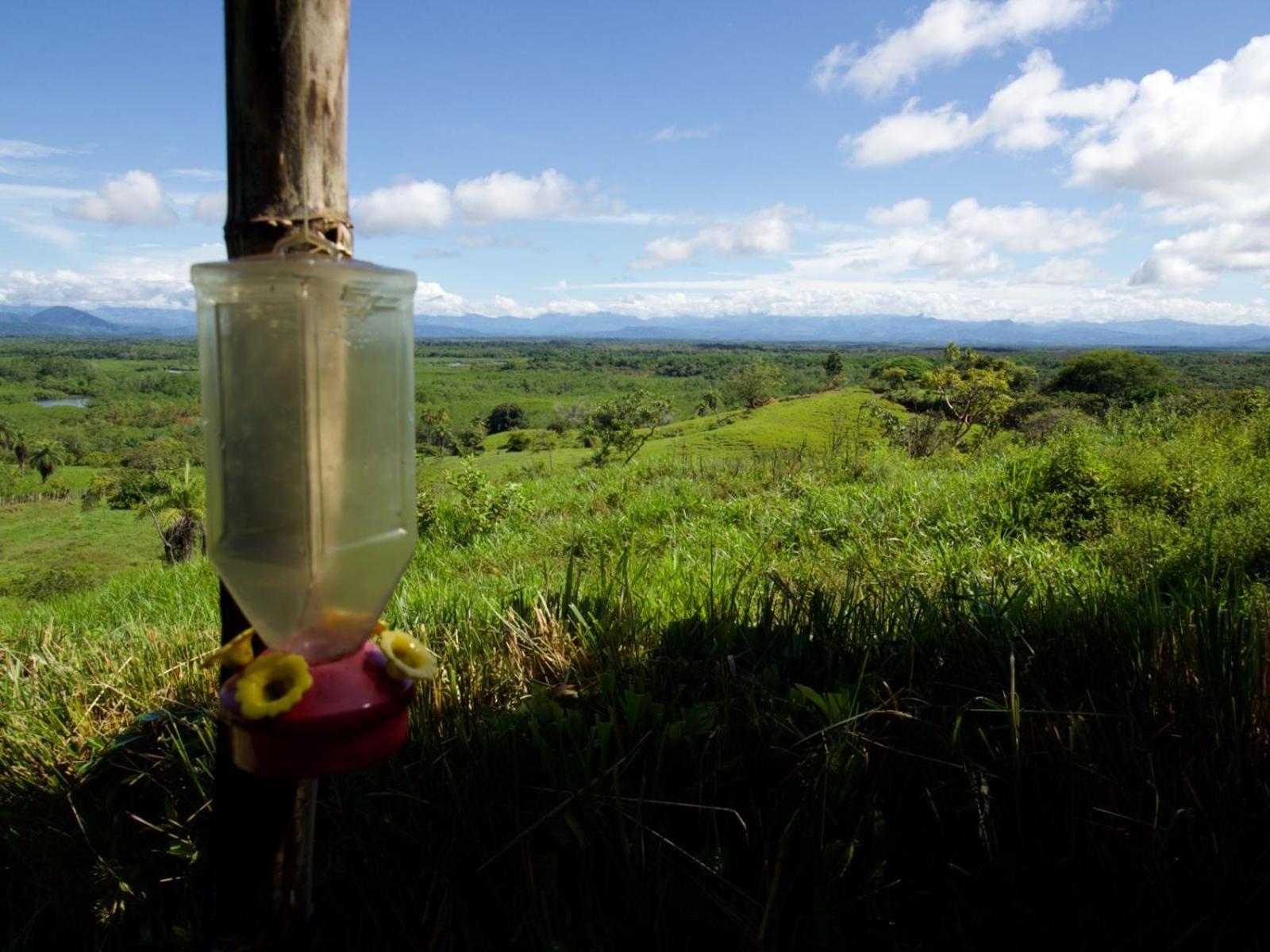 Finca Colibri Бока-Чика Экстерьер фото